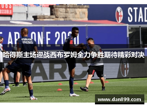 哈得斯主场迎战西布罗姆全力争胜期待精彩对决