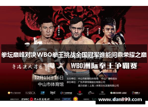 拳坛巅峰对决WBO拳王挑战全国冠军谁能问鼎荣耀之巅