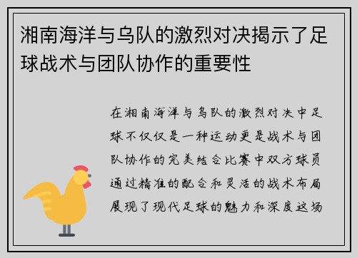 湘南海洋与乌队的激烈对决揭示了足球战术与团队协作的重要性